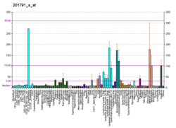 PBB GE DHCR7 201791 s at fs.png