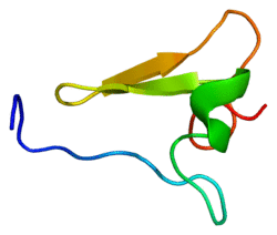 Protein ITGB2 PDB 1l3y.png