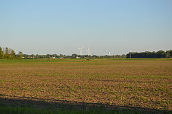 Fields south of Lakeview