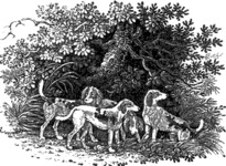 John & Thomas Bewick. Image from The Chase by William Somervile. 1802 04.png