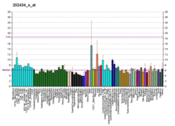 PBB GE CYP1B1 202434 s at fs.png