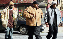 TheWire46.jpg