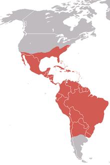 AmericanBlackVultureMap.png