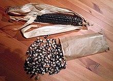 Hopi Blue Corn.jpg