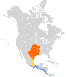 Tyrannus forficatus map.svg