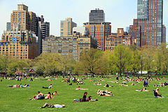 People seated or reclining on the large grass area known as Sheep Meadow