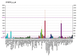 PBB GE CTSB 213274 s at fs.png