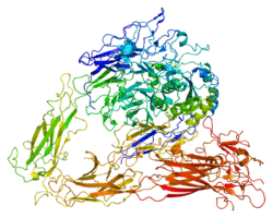 Protein ITGB3 PDB 1jv2.png