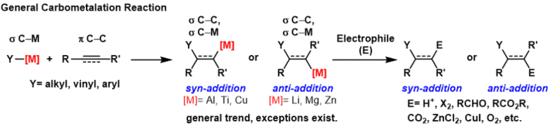 Carbometalation General Overview.png