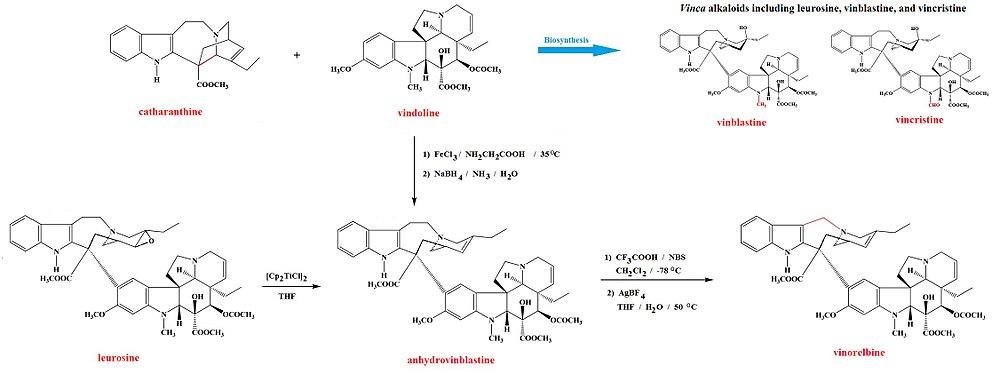 Vinorelbine from leurosine and from catharanthine plus vindoline.jpg