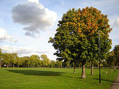 Hackney downs 1.jpg