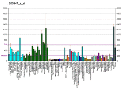 PBB GE GLUD1 200947 s at fs.png