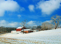 A farm in the township