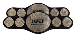 IWGP Junior Heavyweight Tag Team Championship.PNG