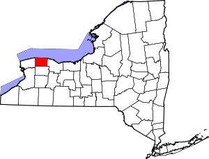 Map of New York highlighting Orleans County