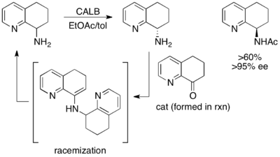 EDKR amino-tetrahydroquinoline with CALB.png