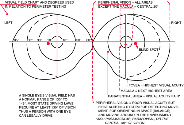 Dynamic Visual Acuity Chart