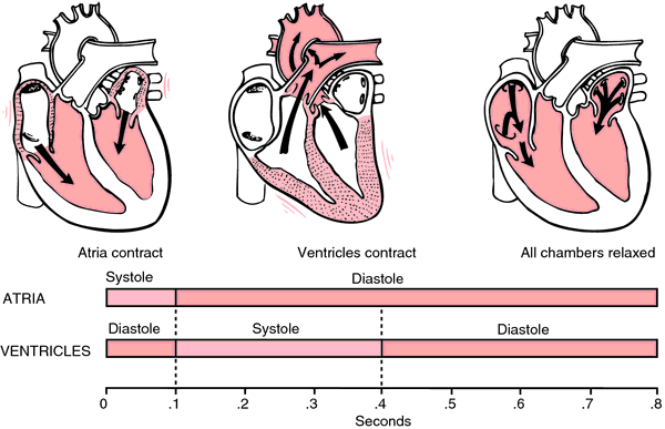 Medical Chart Meaning