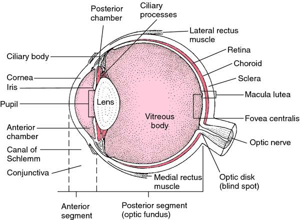 empty eye socket dream meaning