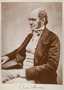 On this day in history ... - Page 8 Charles_Darwin_seated