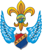 Hayastani Azgayin Skautakan Sharjum Kazmakerputiun.png