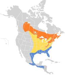 Vireo solitarius map.svg