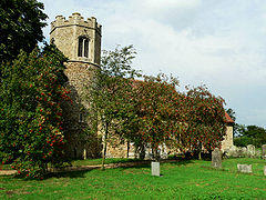 Little Bradley-g1.jpg