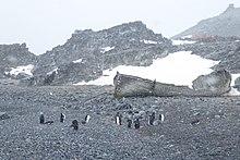 Half Moon Island boat wreck.jpg