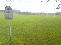 Brockham Big Field - geograph.org.uk - 292983.jpg