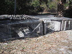 Nelson gator pit.JPG