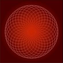 Remi turtlegrafik.png