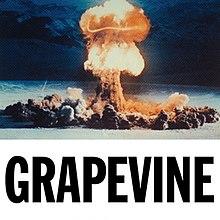 Tiësto - Grapevine.jpg