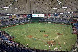 Tokyo Dome 2015-5-12.JPG