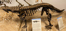 Desmatosuchus mount.jpg