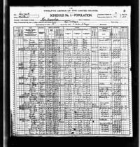 1900 census Kershaw Lindauer.gif