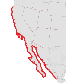 California sea hare range.svg