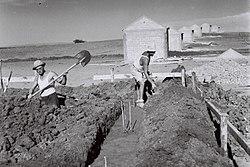 BUILDING WORKERS LAYING THE FOUNDATION FOR ONE OF THE NEW HOUSES AT MOSHAV KFAR MONASH IN THE HEFER VALLEY, A COOPERATIVE SETTLEMENT OF WORLD WAR 2 VED841-016.jpg