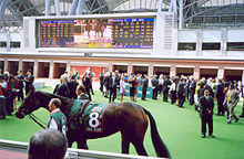 Ouja Board,worth millions dollarrs at Sha-tin Paddock 2005..jpg
