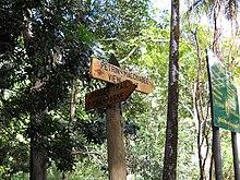 Wooden signs in a forest