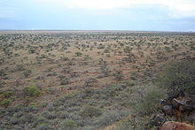 Present-day elevated view of the open ground over which the British advanced