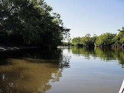 Encaramos el Dorado - panoramio.jpg