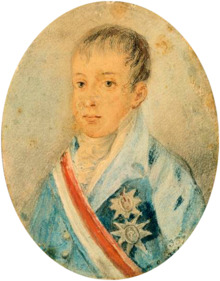 Painting showing the head and shoulders of a boy wearing a high collar and a coat adorned with medals and a striped sash of office