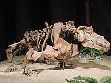 Dinosaurium, Estemmenosuchus uralensis 2.jpg