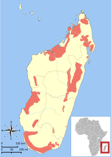Lepilemur range map.svg