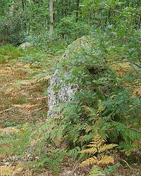 Menhirs in Les Baux-Sainte-Croix