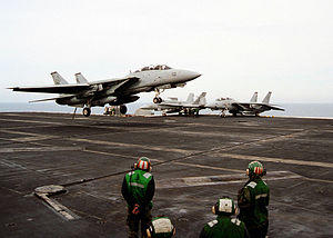 US Navy 020312-N-7265D-005 F-14.jpg