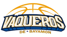 Vaqueros de Bayamón logo