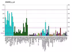 PBB GE KRAS 204009 s at fs.png