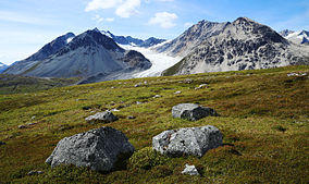 2015-08-14 Tatshenshini-Alsek Park 1368.jpg