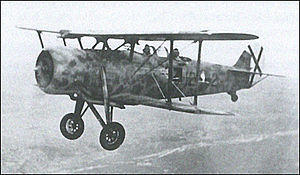 Italian IMAM Ro.37 reconnaissance aircraft in flight.jpg